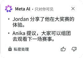Meta AI 无痕聊天